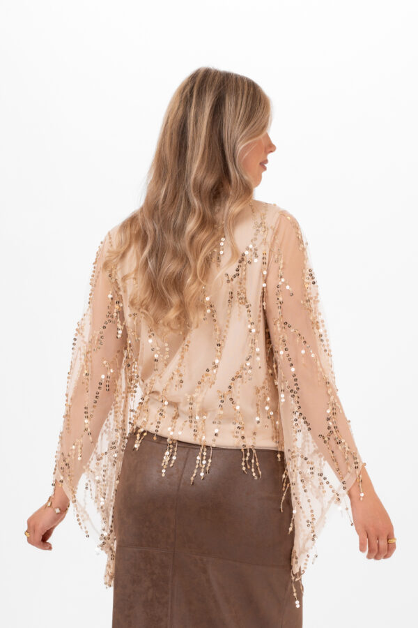 Festlig blus i skir mesh med paljetter i champagne